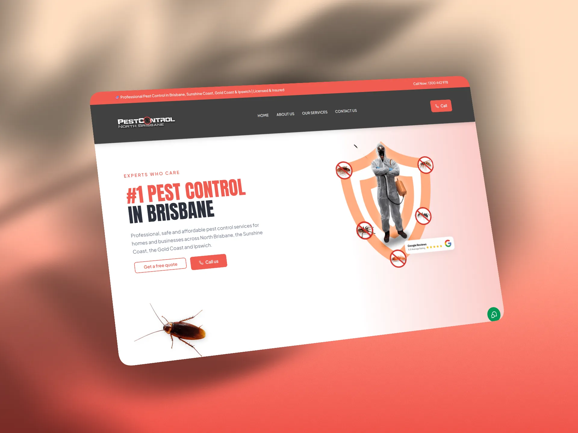 Pest Control North Brisbane website design demo – Viveonix