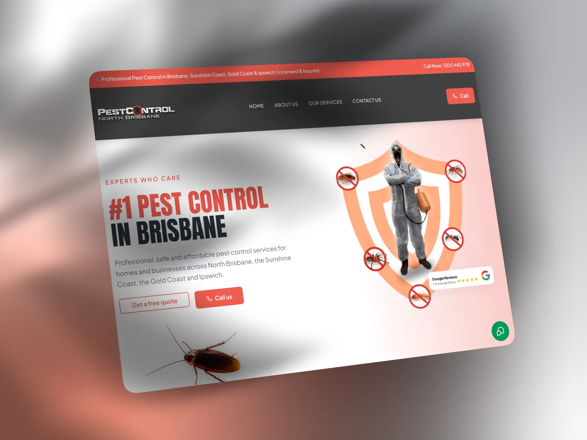 Pest Control North Brisbane website design demo – Viveonix