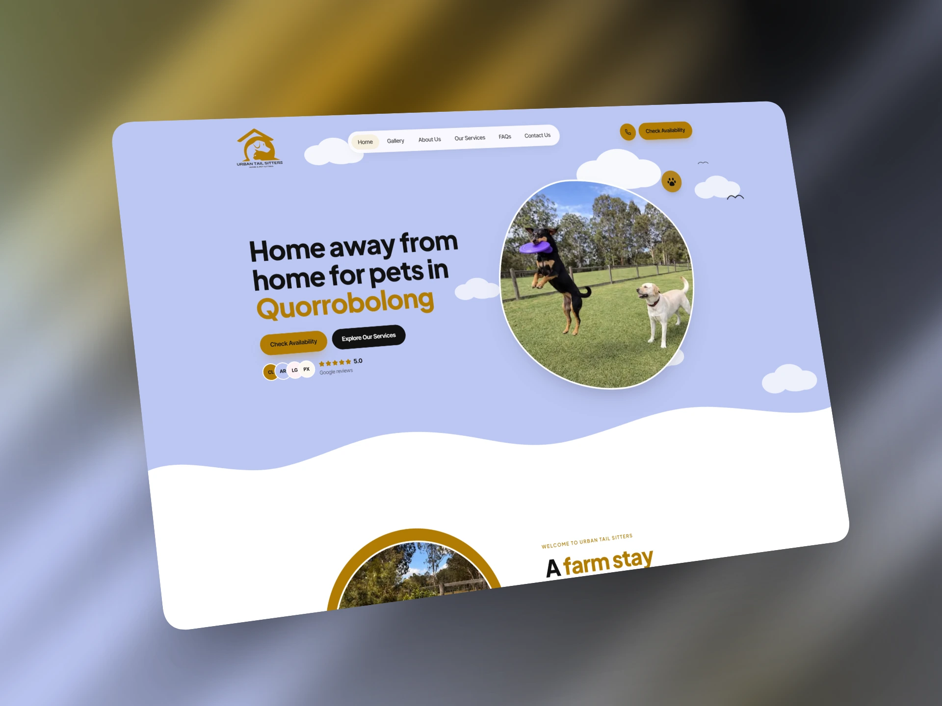 Urban Tail Sitters website design demo – Viveonix